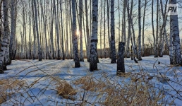 13 февраля в Павлодарской области будет облачно