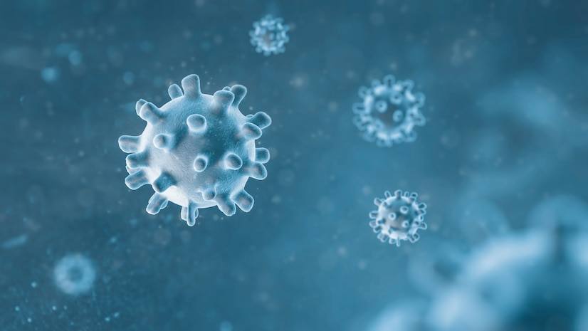 Недельный ликбез о бешенстве устроят эпидемиологи Павлодара