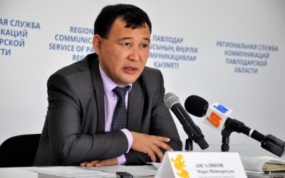 Павлодарских мулов и ослов пересчитают и внесут в базу ИСЖ