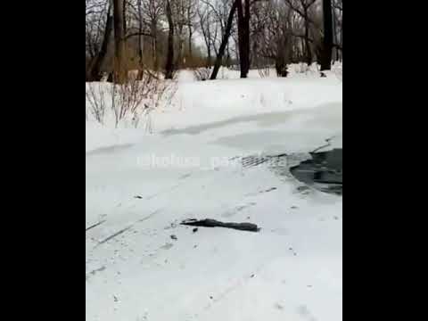 Двое рыбаков чуть не утонули вместе с внедорожником в озере в Павлодарской области