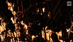 Павлодарские огнеборцы потушили крупный пожар в Кенжеколе